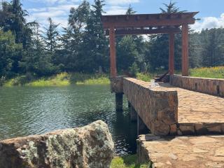 Cabañas Tapalpa Sierra del Tecuan, Cabaña Topo - 8