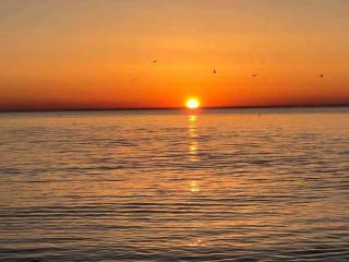 Family-friendly apartment with pool in the heart of Torrevieja - 5