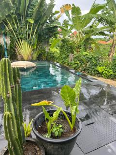 Villa with stunning Ricefield view- Canggu - 8