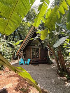 Tropical Getaway Caribbean Moon, from the Jungle to the Beach - 1