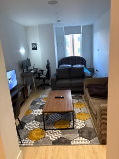 Modern Luxury Studio - 4