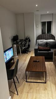 Modern Luxury Studio - 3