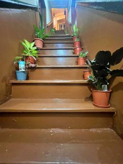 Sulemange Rooms in Mouraria, City Centre - 3