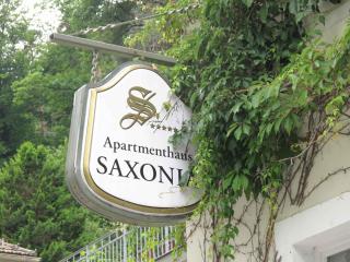 Apartments in Bad Schandau 41192 - 4