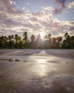 Suíte de Charme, Paz e Natureza a Passos do Mar em Ipioca - 0