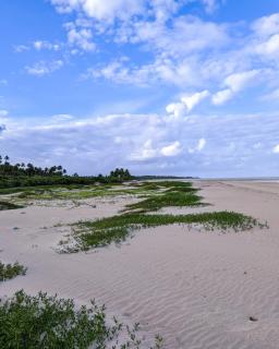 Senses Dimension - Ipioca Beach Suites - 9