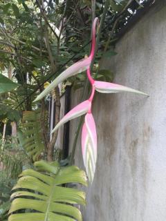 The Moon Star Vila - 6