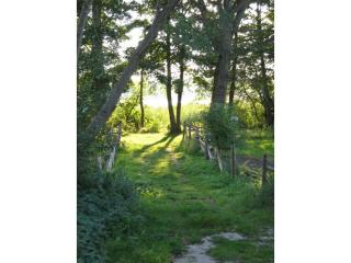 Carol's Country-House - 7