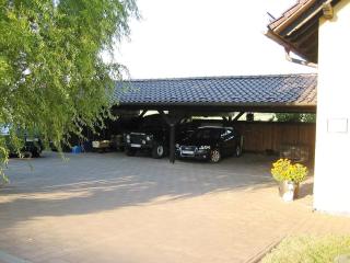 Carol's Country-House - 3