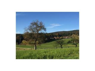 Forest view Hauzenberg Comfortable holiday residence - 7