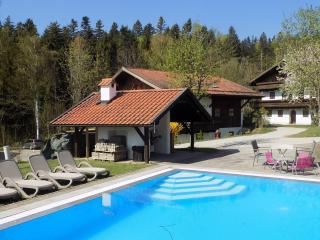 Forest view Hauzenberg Comfortable holiday residence - 0