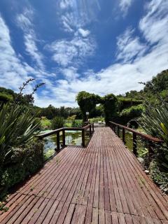 Departamento familiar con piscina en Reñaca - 9