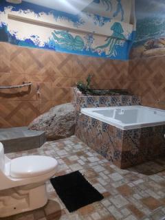 Suite encantadora con vista al Rio - 2