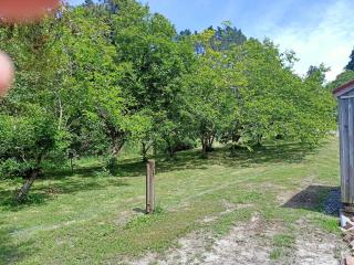 Persimmon paddock by Tiny Away - 2