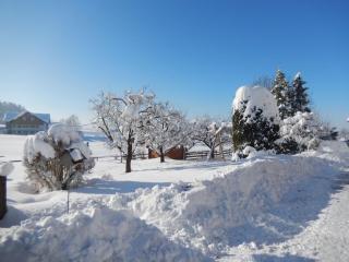 Stadelwohung Comfortable holiday residence - 1