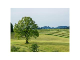 Stadelwohung Comfortable holiday residence - 4