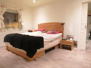 House with sea view, boathouse, garage and boat - 4