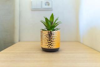 Family apartment, warm & cozy - 6