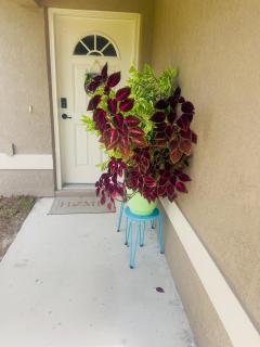 Cozy home away from home - 9