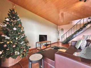 Cabaña con vista al volcán Barú - 9