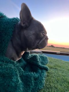 Secluded Farm Views, Exclusive Fun House - 3