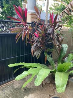 Mealanie's House - 8