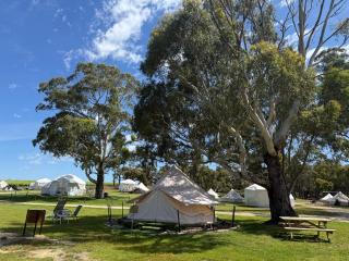 Coonawarra Bush Holiday Park - 6