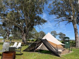 Coonawarra Bush Holiday Park - 5