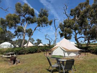 Coonawarra Bush Holiday Park - 7