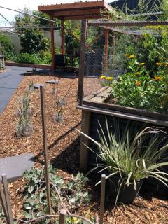 Launceston Lovely Vegan Homestay - 6