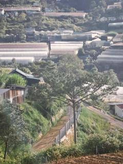 Xóm Bảo Đại Homestay - Da Lat - 6