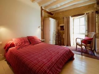 Gîte de charme avec jardin privatif en Touraine - FR-1-381-642 - Tauxigny - 2