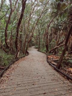 Azzure Beachside Bokarina Escape - 1