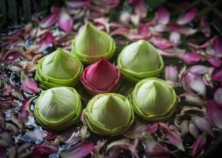 Lynnaya Urban River Resort - 9