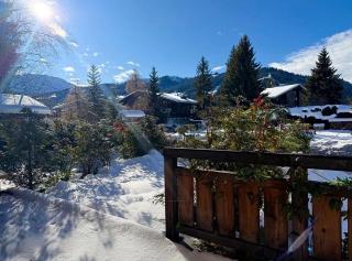 Les Chamois D’Arbois, Mont D’Arbois, Megève - 5