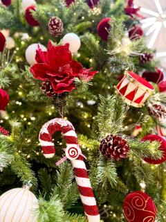 PHUC LONG LUXURY Danang - 5