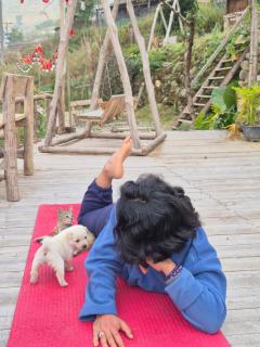 The Zen House Sapa - 9