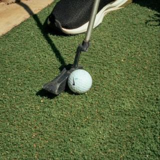 Wild Culture Yala - 1