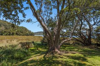 Hihi O Te Ra - Waterfront Waiotahe Holiday Home - 4