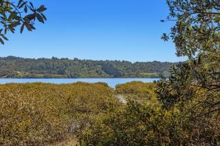 Hihi O Te Ra - Waterfront Waiotahe Holiday Home - 3