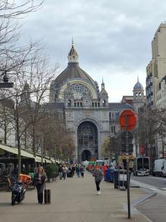 Sunset Paradise Tomorrwland hotel transport at hillit - Antwerp - 8