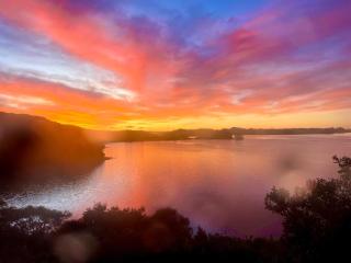 Bay of Islands - Lemon Tree Cottage, Chic secluded epic sea views - 7