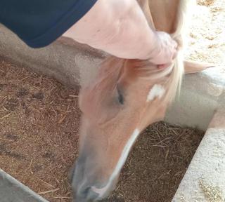 Flat Paz & Relax Monte Castelo 1809 - 6