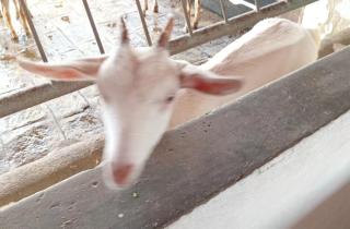 Flat Paz & Relax Monte Castelo 1809 - 5