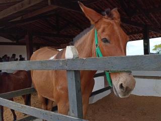 Flat Paz & Relax Monte Castelo 1809 - 4