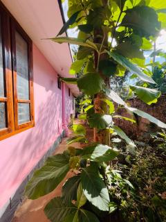 GingerLime Surf and Bakery House - 9