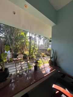 GingerLime Surf and Bakery House - 7