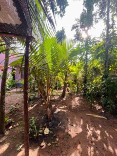 GingerLime Surf and Bakery House - 8