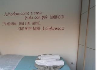 Lambrusco Apartment - vicino-near Modena centre, Università, Policlinico - Modena - 1