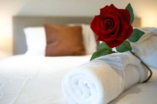 L escapade de Stan - 3